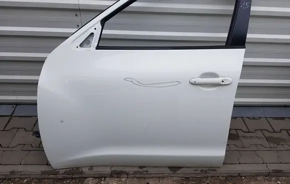 Nissan Juke I F15 Front door 