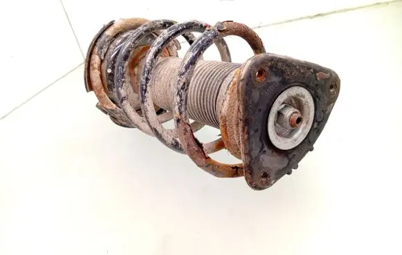 Ford Focus C-MAX Front shock absorber with coil spring