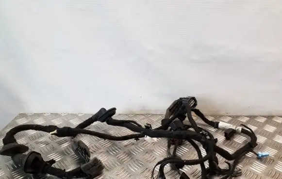 Jaguar XF X250 Front door wiring loom CX2314B121