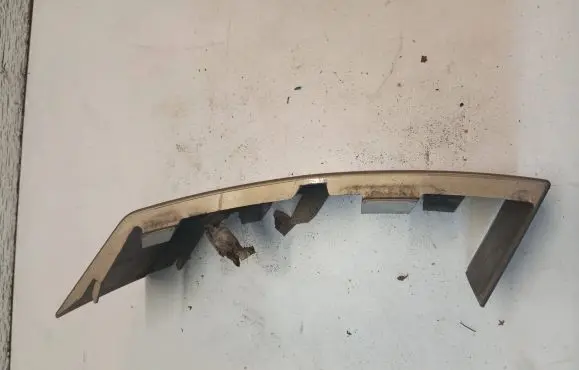 Rear/tail light trim molding