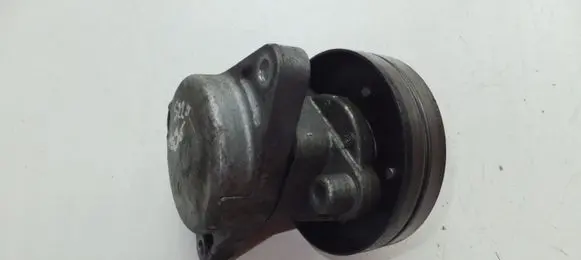 Mercedes-Benz S W220 Generator/alternator belt tensioner A1122000370