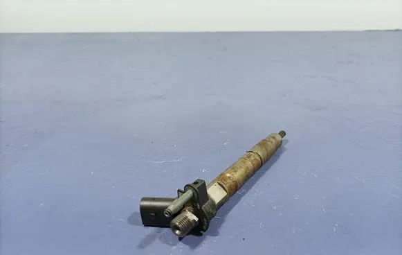 BMW X1 E84 Fuel injector 7805428