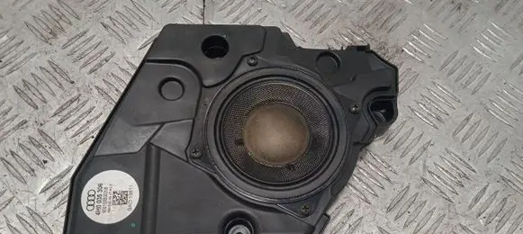Front door high frequency speaker