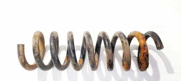 Rear coil spring