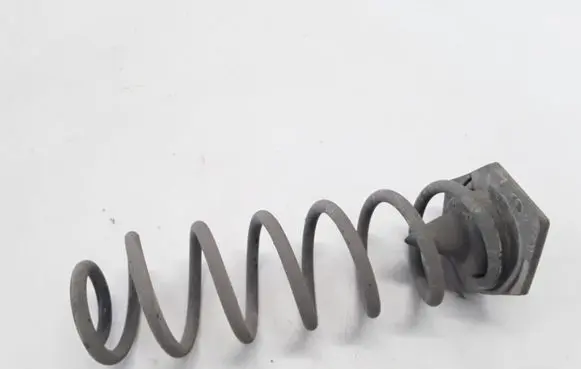 Renault Megane III Rear coil spring 550200032R
