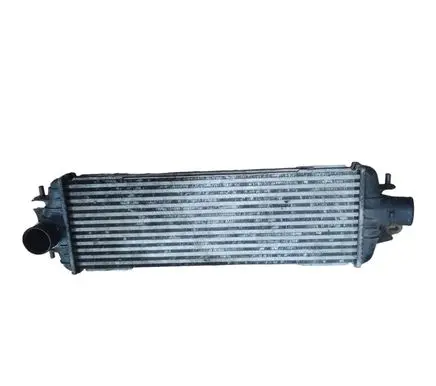 Renault Trafic II (X83) Intercooler radiator 8200219497 93850451 874869N