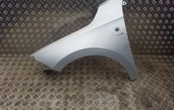 Seat Toledo IV (NH) Fender