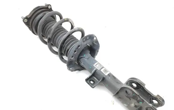Hyundai Santa Fe Front shock absorber with coil spring 54600S2100