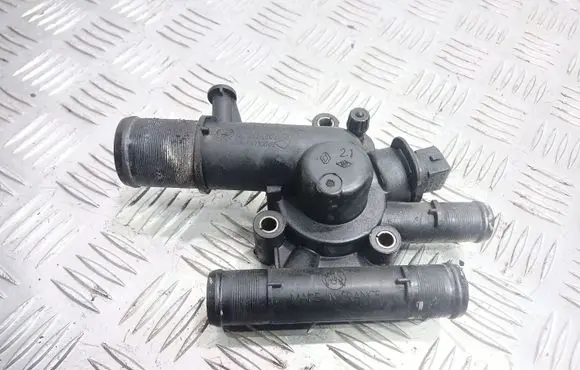 Thermostat/thermostat housing
