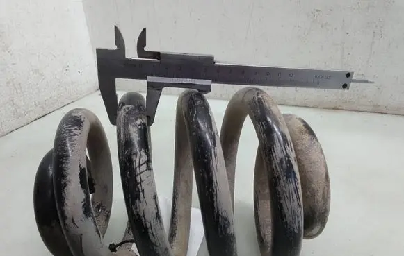 Rear coil spring
