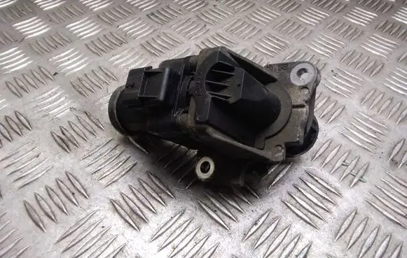 Nissan Qashqai EGR valve H8200129863 50797503
