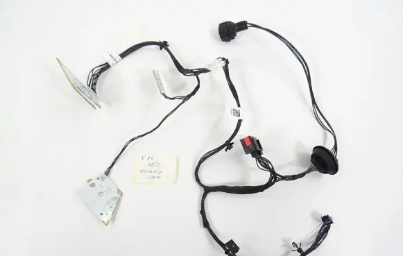 Nissan Juke II F16 Other wiring loom