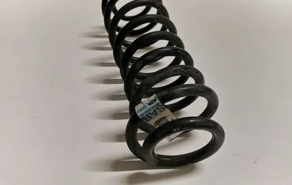 Ford Mustang V Rear coil spring BR335560AB