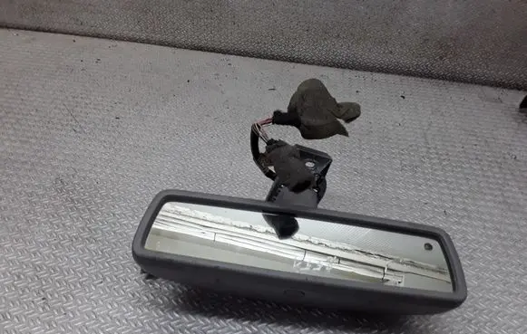Volkswagen Phaeton Rear view mirror (interior) E1010682