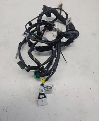 Hyundai Santa Fe Tailgate/trunk wiring harness N916812B010