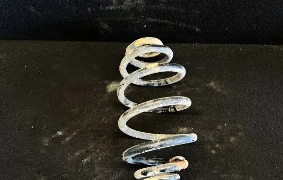 Volkswagen PASSAT B5.5 Rear coil spring