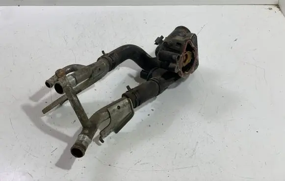 Thermostat/thermostat housing