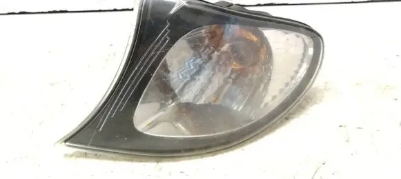 BMW 3 E46 Front indicator light 7165849 388705