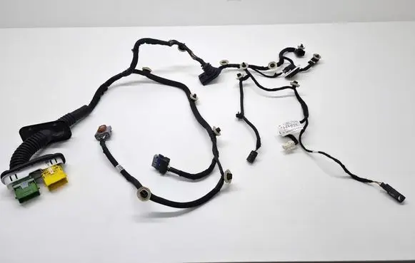 Front door wiring loom