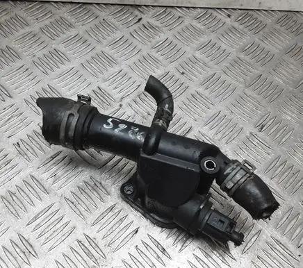 Thermostat/thermostat housing