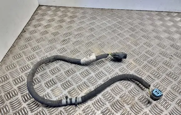 Ford S-MAX Other wiring loom E1gt14a069