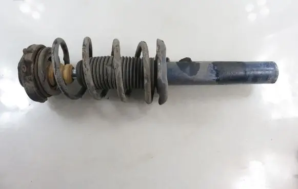 Volkswagen PASSAT B6 Front shock absorber with coil spring 