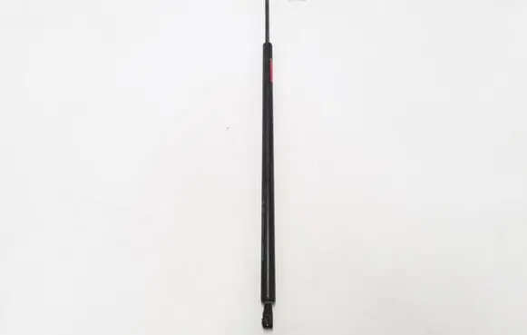 Renault Trafic II (X83) Tailgate strut 8200162697