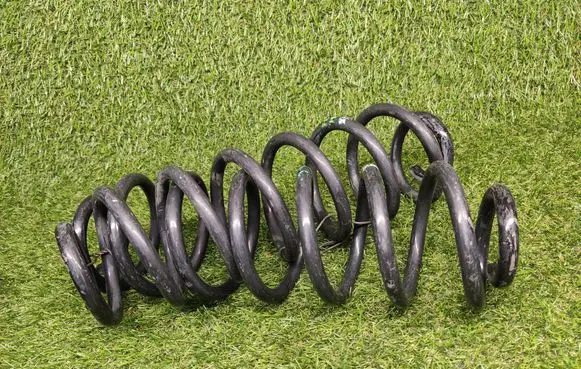 Rear coil spring