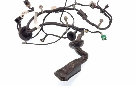 Chevrolet Camaro Front door wiring loom 1GA1256138 84073534