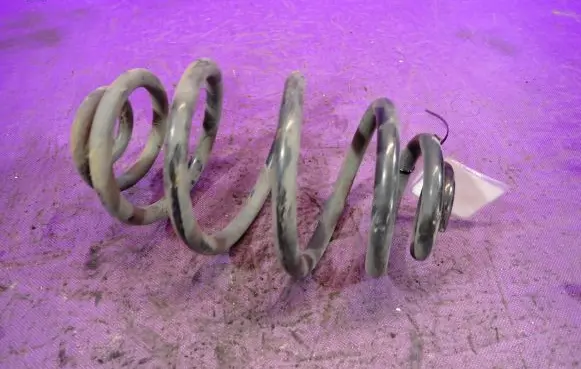 Volkswagen PASSAT B5.5 Rear coil spring