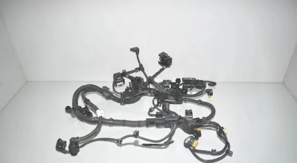 Engine installation wiring loom