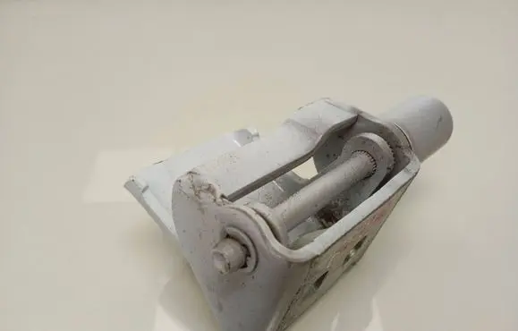 Renault Zoe Rear door lower hinge 864601
