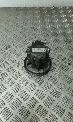 Citroen C5 Power steering pump 0899809896 Z09996419