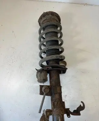 Land Rover Freelander 2 - LR2 Rear shock absorber with coil spring 8010X 310480691