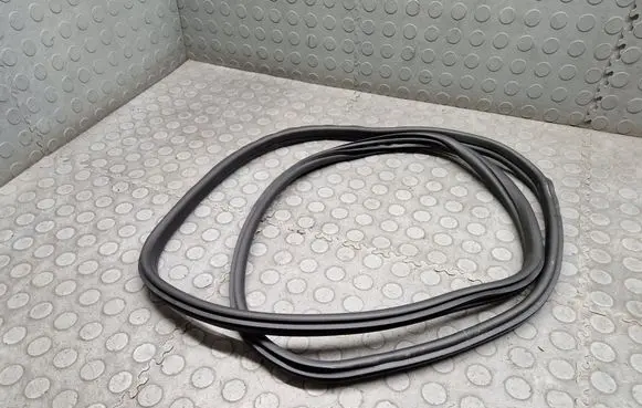 BMW X3 G01 Rear door rubber seal (on body) 7393449