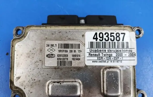 Engine control unit/module ECU