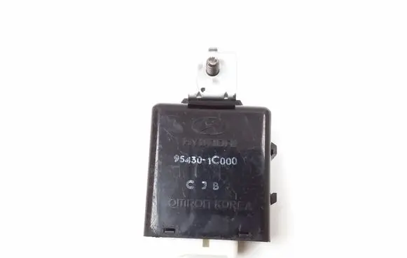 Hyundai Getz Other control units/modules 954301C000