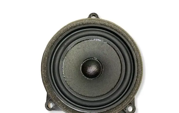 BMW 2 F46 Subwoofer speaker 16014910