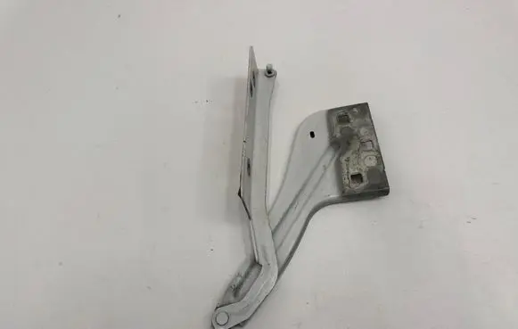 Jaguar F-Pace Engine bonnet/hood hinges 161123