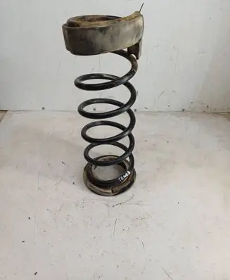 Rear coil spring