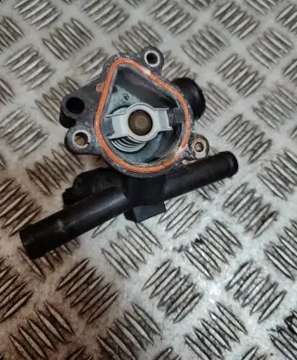Thermostat/thermostat housing