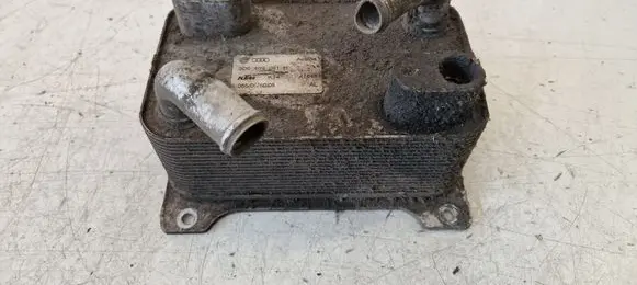 Volkswagen Phaeton Coolant radiator 3D0409061