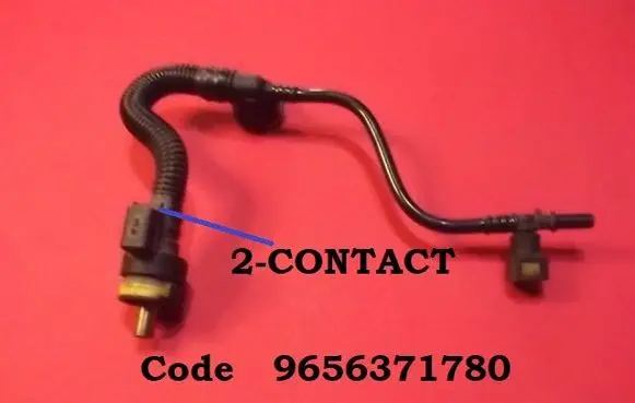 Citroen C2 Fuel tank valve 9656371780