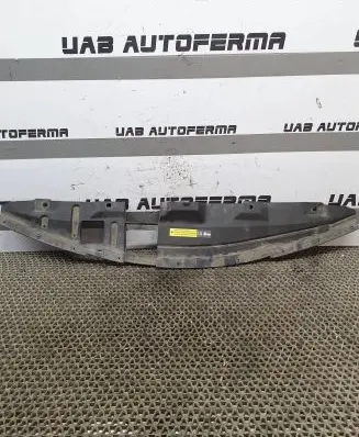 Engine bonnet/hood lock trim molding