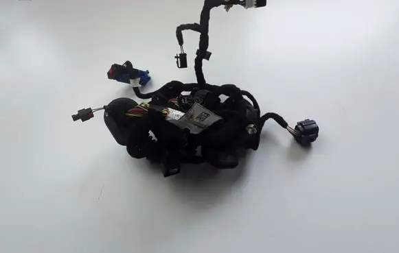 Alfa Romeo Giulia Other wiring loom 00505458900