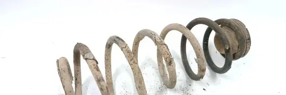 Seat Leon (1M) Rear coil spring