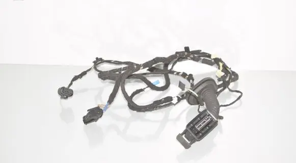 Rear door wiring loom