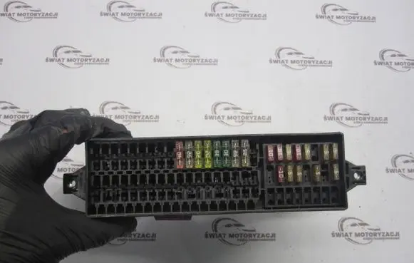 Volkswagen Tiguan Fuse module