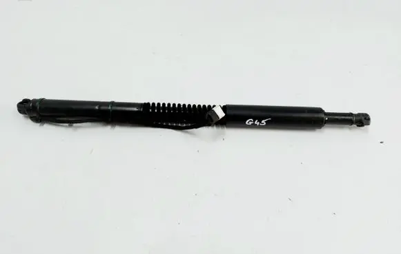 BMW X3 G45 Tailgate strut 5A25C76