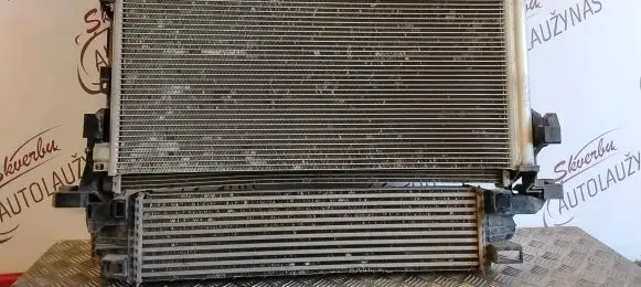 Renault Trafic III (X82) Radiator set 214819927R 93868379 T663164